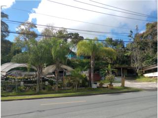 Excelente localizaci�n Comercial o inversi�n