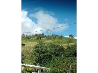 Finca de Ceiba, Cidra y Cejas, Comerio