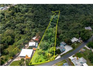 2.24 cuerdas Barrio Cuchillas de Morovis
