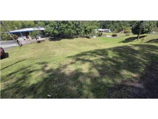 Puerto Rico - Bienes Raices VentaSolar de 1,640.65 M2 Barrio Cruces de Rincon Puerto Rico