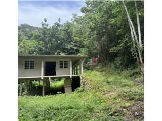 FINCA 19 CUERDAS