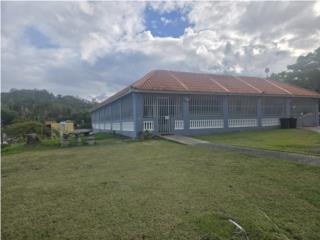 Hogar de ancianos