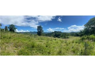 Monticello entre Cayey y Cidra 