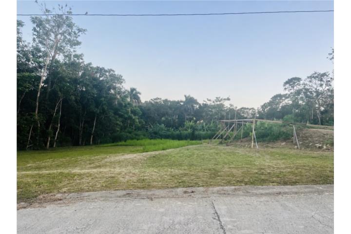 Urb. Haciendas del Dorado