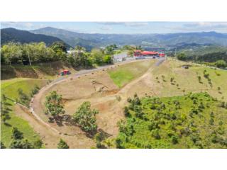 Bo. Borinquen Carr. 788 Km. 3.2