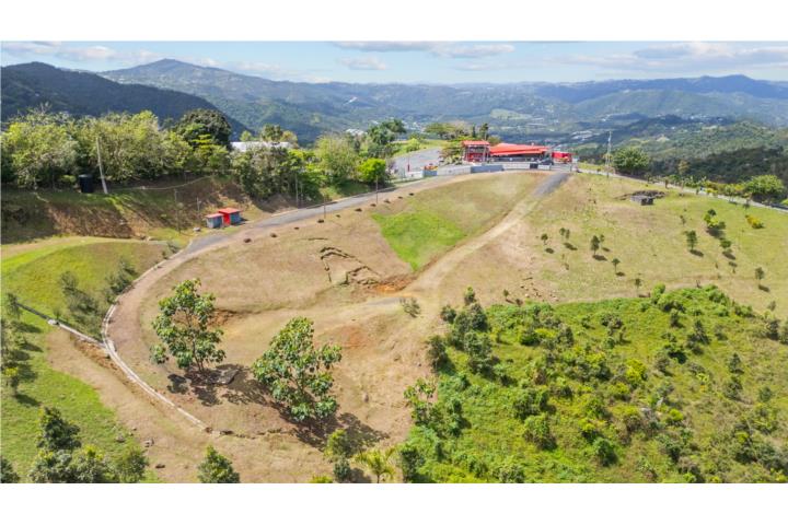 Bo. Borinquen Carr. 788 Km. 3.2