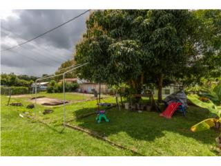 Carraizo Puerto Rico