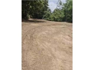 Terreno Venta Las Cuevas Cupey