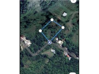 Terreno de 1,200 metros en Aibonito 