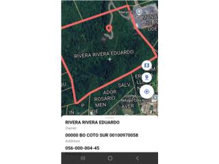 Venta finca 45 cuerdas Manati