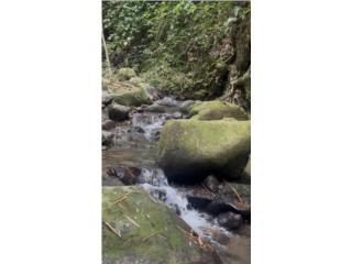 Puerto Rico - Bienes Raices VentaSector cerrote 9.5cuerdas,r�o.  Puerto Rico