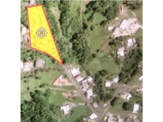 Terreno de 1.5 cuerdas en el  Barrio Sumidero