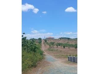 La Parguera Puerto Rico