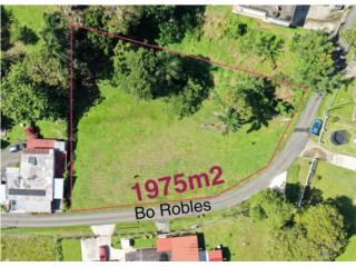 Puerto Rico - Bienes Raices VentaTerreno-Robles Puerto Rico