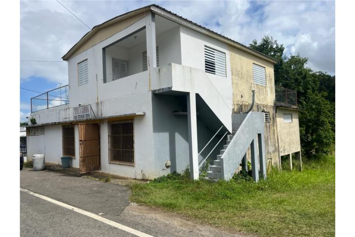 Propiedad comercial y residencial