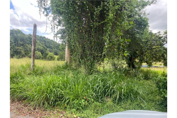 Terreno de casi una cuerda frente a principal