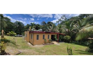 Planas Puerto Rico