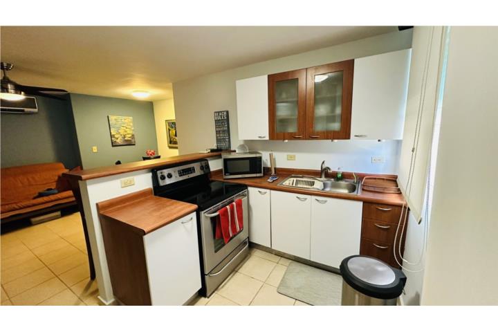 COND. COSTA MAR BEACH VILLAGE, GARDEN, LOIZA