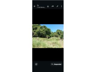  TERRENO BO. MONTE BELLO, MANATI 1,854 METRO 