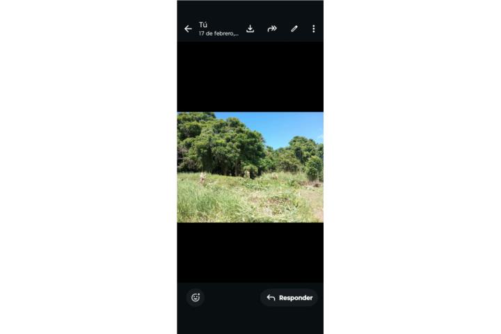 TERRENO BO. MONTE BELLO, MANATI 1,854 METRO