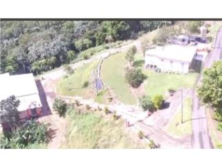 Finca Panor�mica con Casa y Negocio 