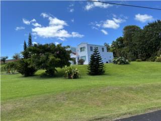 Bella residencia en urb La Pen�nsula 