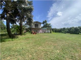Barahona, Morovis