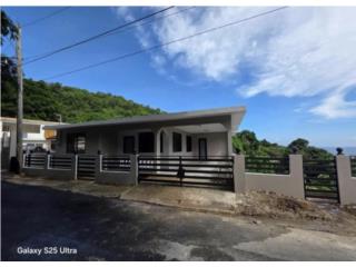 Guardarraya, Patillas!!!