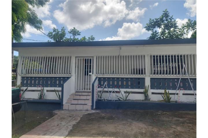 Pitahaya Puerto Rico