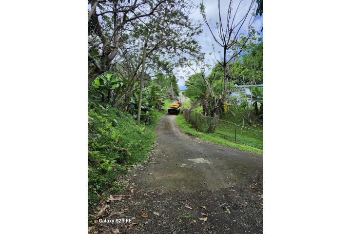 Turabo Arriba, Caguas
