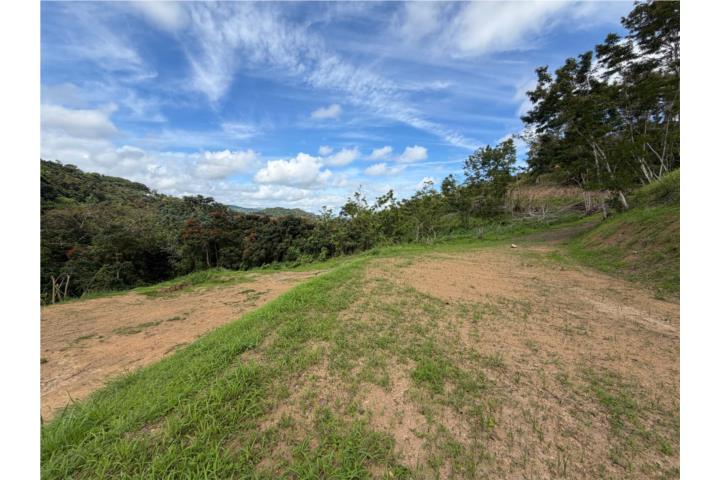 Quebrada Puerto Rico