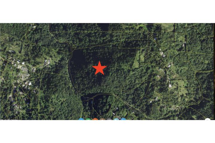 FINCA 37 CUERDAS - BARRIO LOMAS