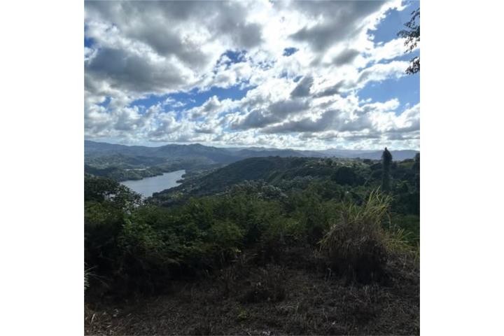 Finca de 17 cuerdas con casa en cemento