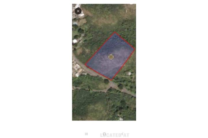 Finca Salinas/ Rancho guayama