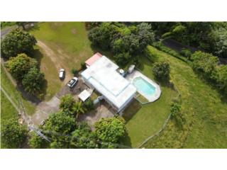 BO. PE�A POBRE - NAGUABO PR 
