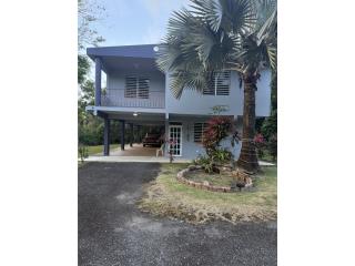 Cedro Puerto Rico