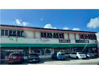EDIFICIO COMERCIAL 210 AVE DOMENECH