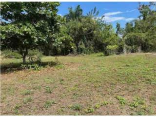Finca 3.41 Cuerdas en Carr 3 R�o Grande