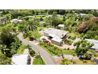 Cayey Guavate 