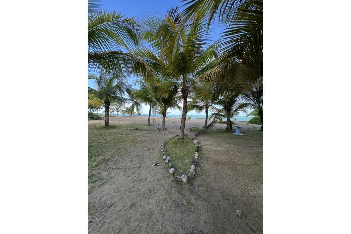 Ocean Point