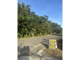 Puerto Rico - Bienes Raices VentaVENTA SOLAR El MAN� MAYAGUEZ Puerto Rico