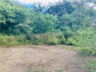 Puerto Rico - Bienes Raices Venta10 CUERDAS RESIDENCIAL- AGR�COLA -COMERCIAL Puerto Rico