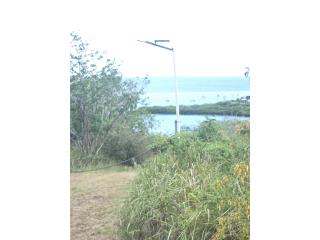 Punta Aloe Puerto Rico