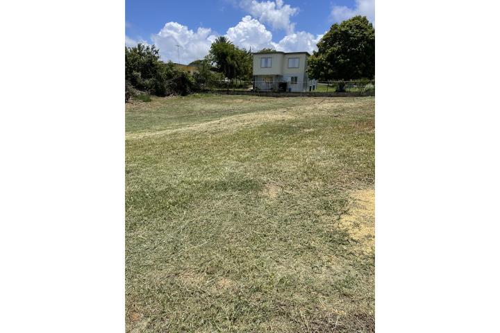 Solar en Isabela