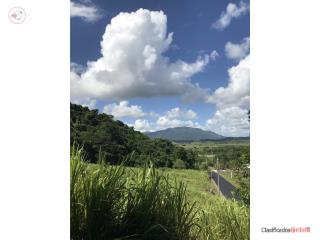 Puerto Rico - Bienes Raices VentaFinca 3.8 cuerda/ �rea exclusiva para constr Puerto Rico