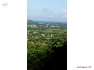 Peaceful Investment Opportunity in Maunabo