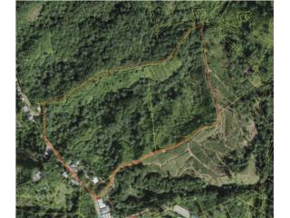 Finca con casas