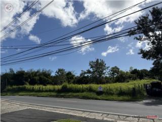 Finca 56.20 cuerdas Carr 183 km 19 Las Piedra