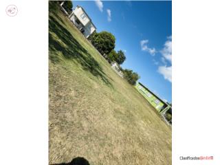 Puerto Rico - Bienes Raices VentaSolar barrio mora Isabela  Puerto Rico