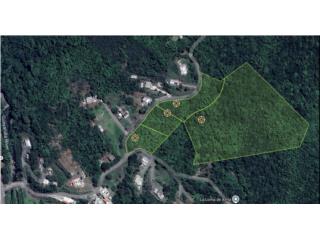 Fincas de aprox 8 cuerdas en Guayanilla 